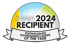 2024 Distinguished Government Leader of the Year badge