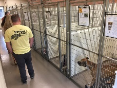 Participants tour the Animal Care and Adoption Center
