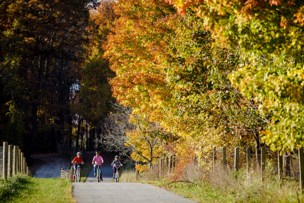 Citizens enjoy bicycling on the Huckleberry Trail between farmland and forest on a sunny fall day.