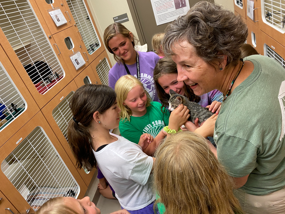 Campers and camp counselors pet a kitten on an educational tour of the animal shelter.